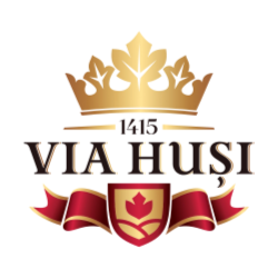 Via Husi Logo